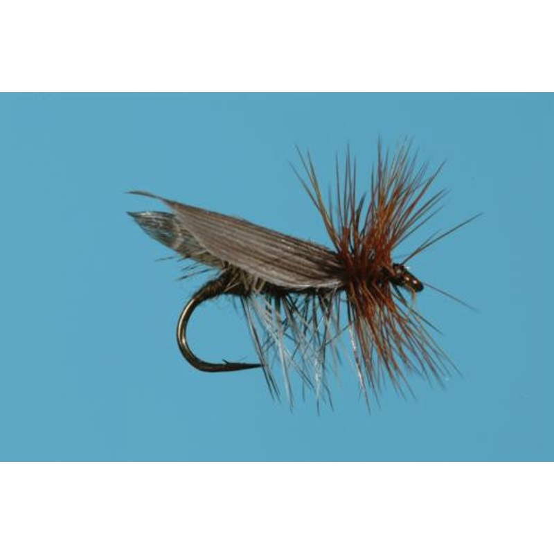 Henryville Special Dry Fly|18|16