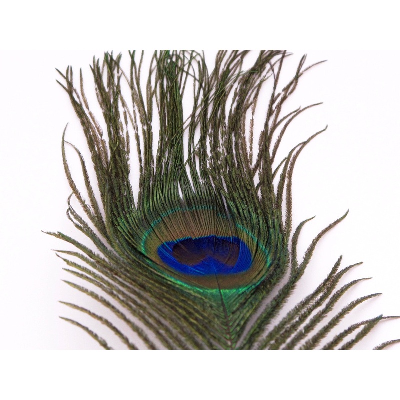 Nature’s Spirit Peacock Eye Sticks Natural