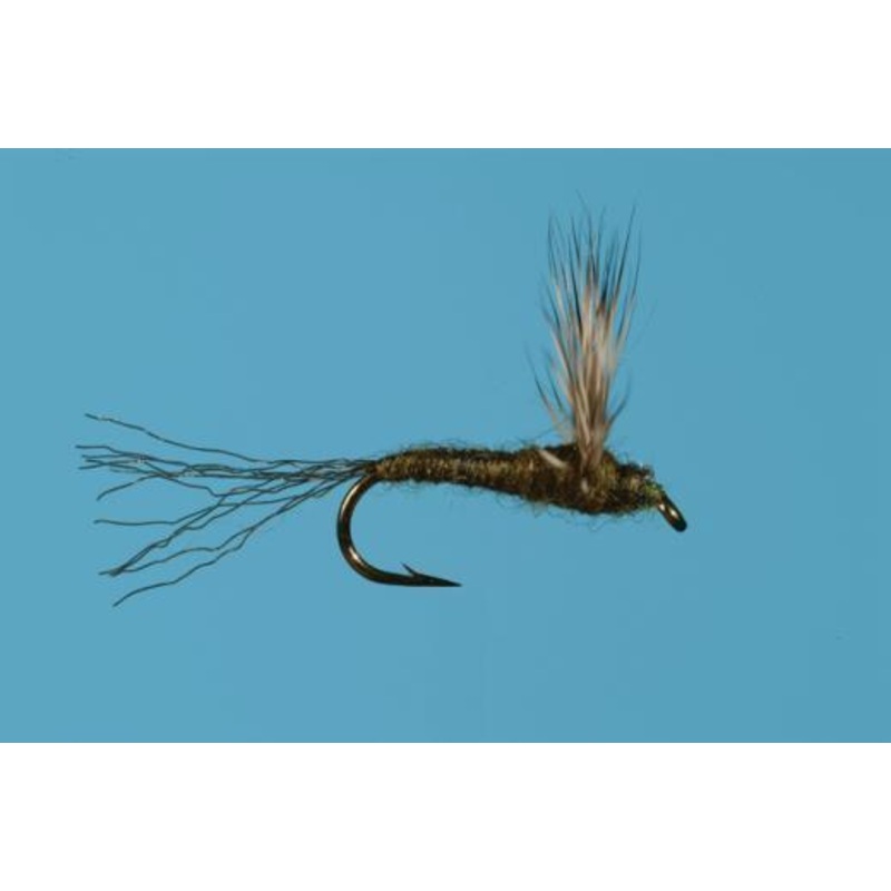 BWO Sparkle Dun|16|18|20|22