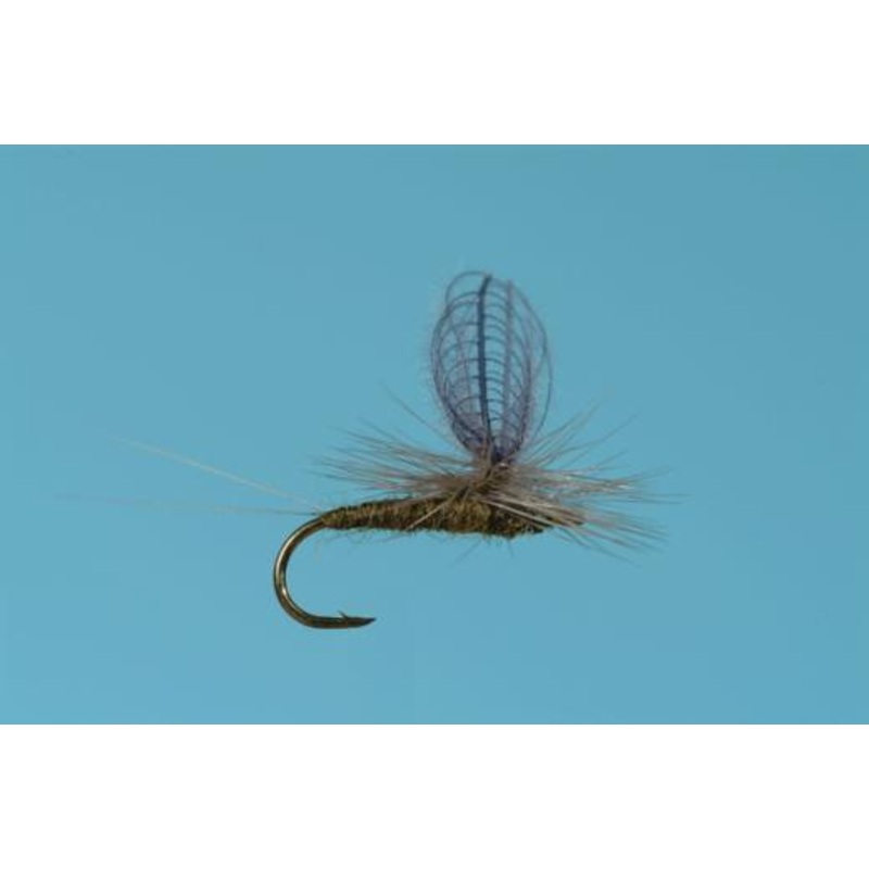 CDC Baetis Dun|18|20