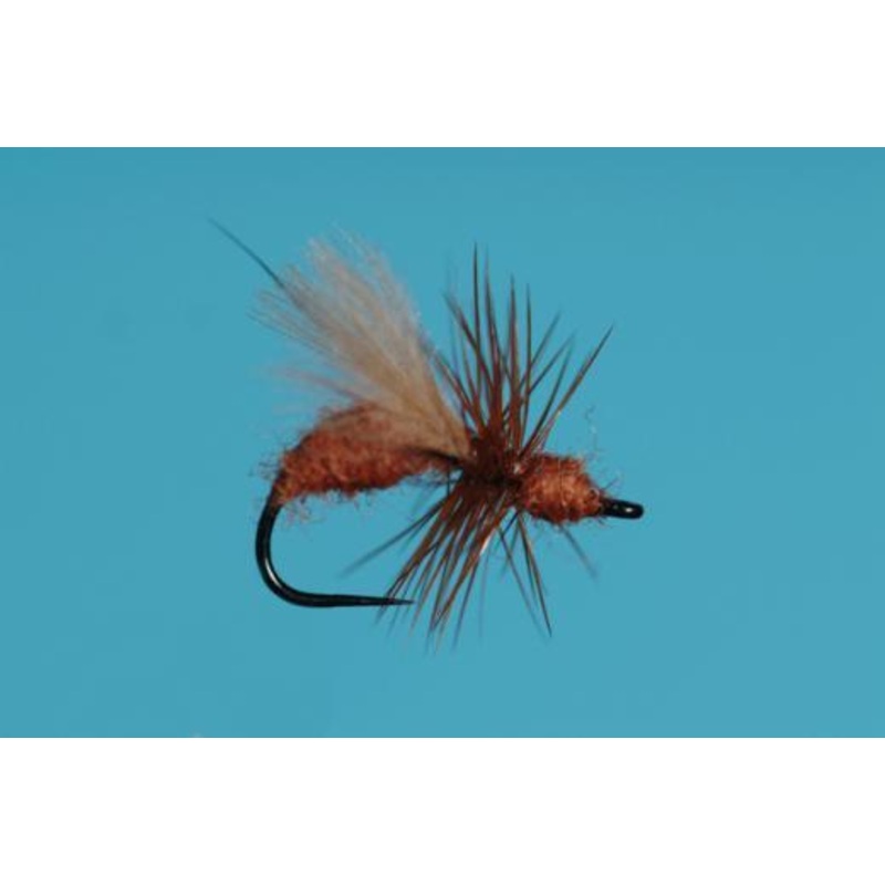 CDC FLYING ANT RED|Default