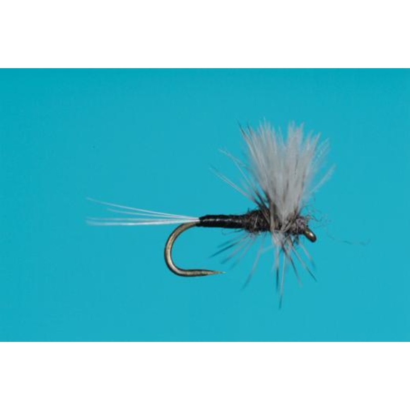 CDC Thorax Trico|20|22