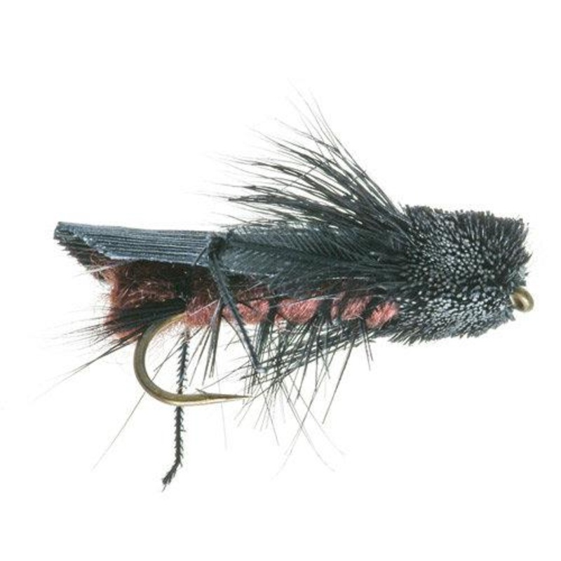 DAVE’S CRICKET|Default