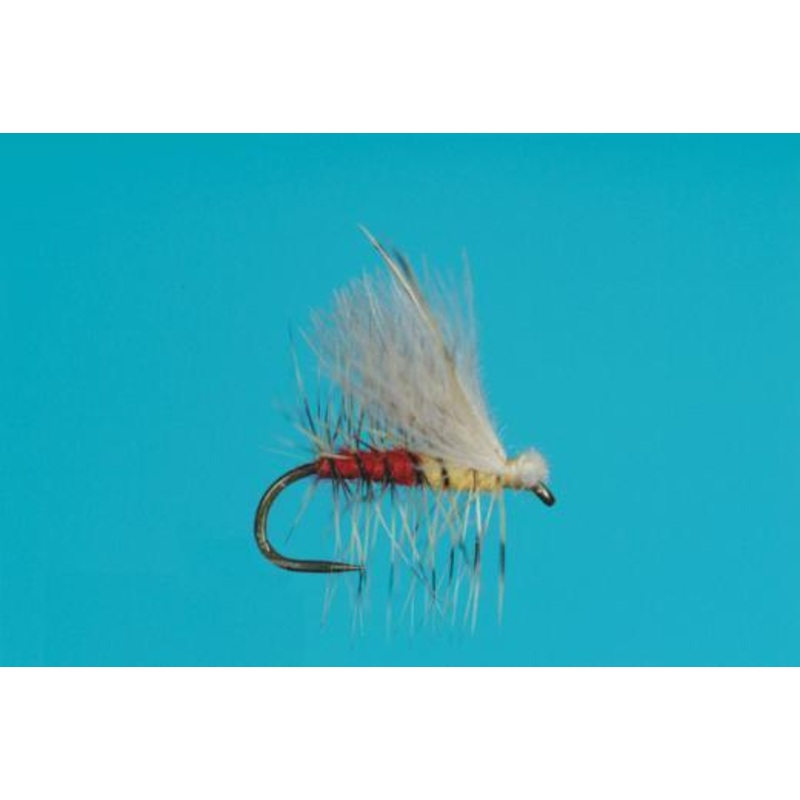 Harrop’s Fluttering Yellow Sally