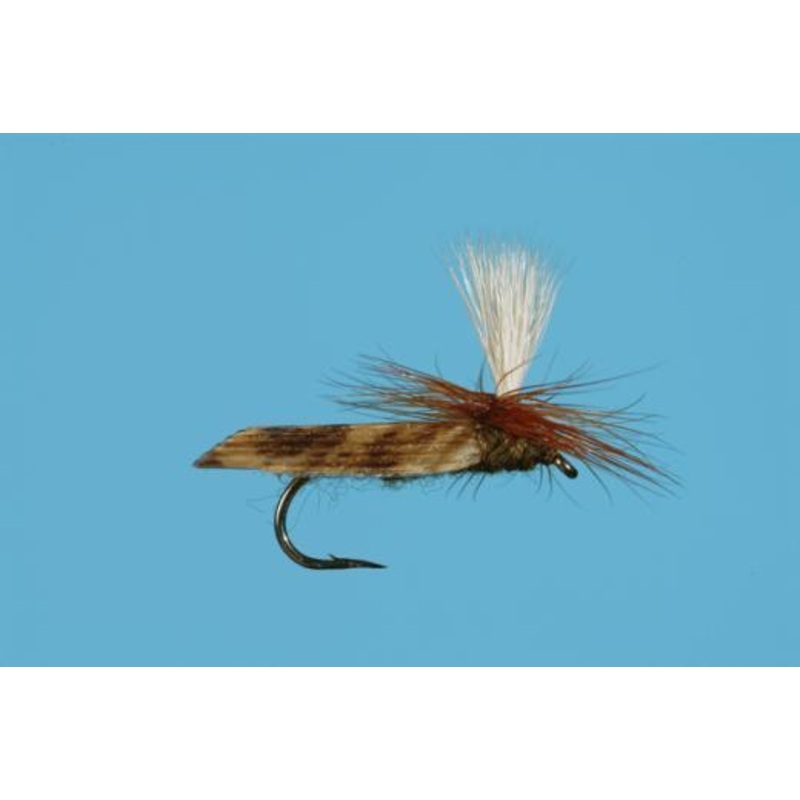 Parachute Caddis Olive|16|18|14