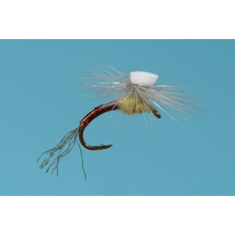 PMD Brook’s Sprout|16|18|20