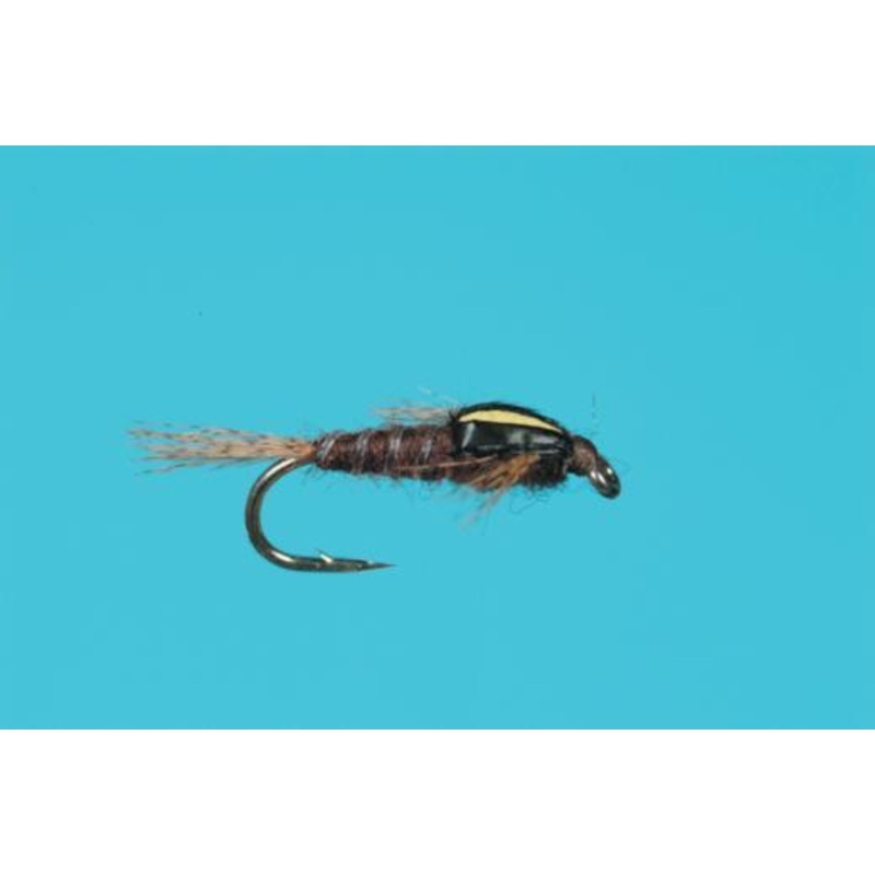 Split Case PMD Nymph|18|16