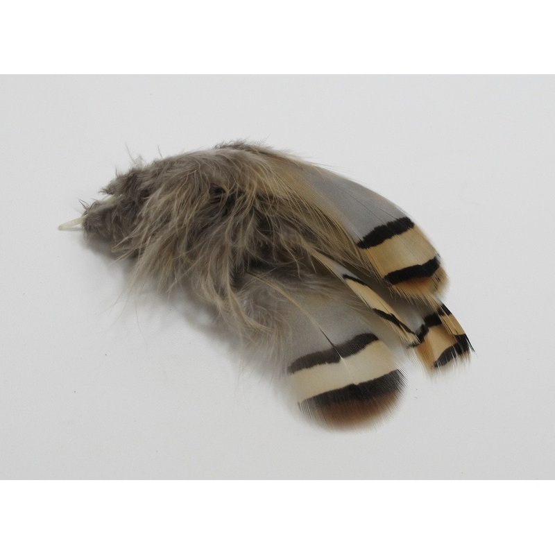Chuker Partridge – 24 select feathers Natural