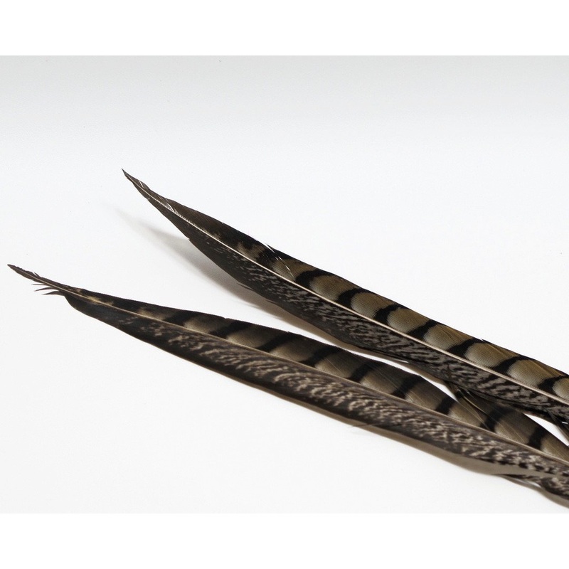 Nature’s Spirit Lady Amherst Pheasant Side Tails – 12 to 16 pair Natural