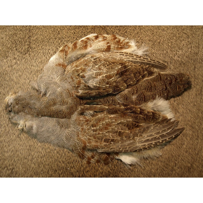 Select Hungarian Partridge Skin Natural