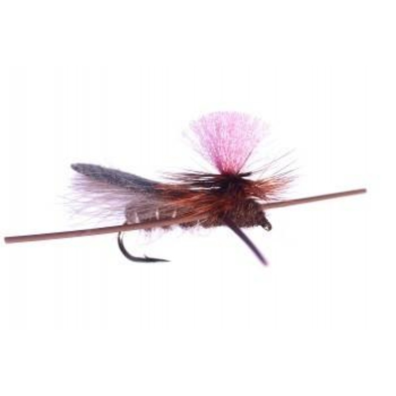 Bloom’s Parachute Cricket