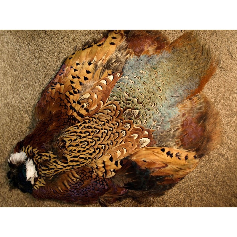 Nature’s Spirit Ringneck Pheasant Whole Skin