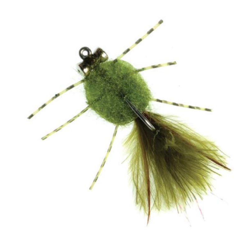 Rag Head Crab Olive #4