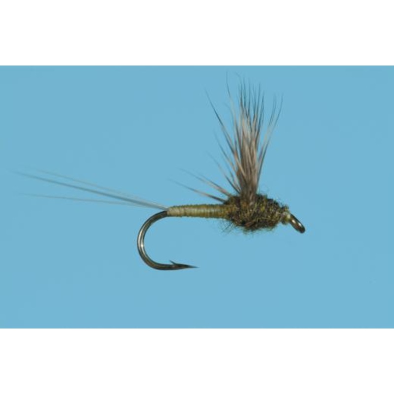 Baetis Comparadun|16|18|22|20