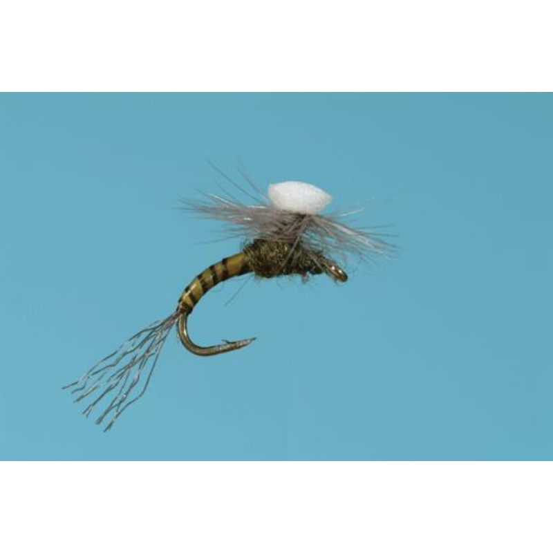 Brook’s Sprout Baetis|16|18|22|20