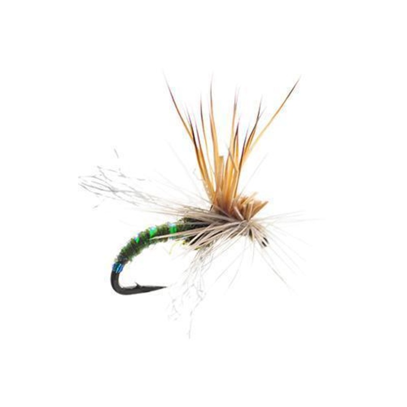 Mercer’s Missing Link|Olive|16|18