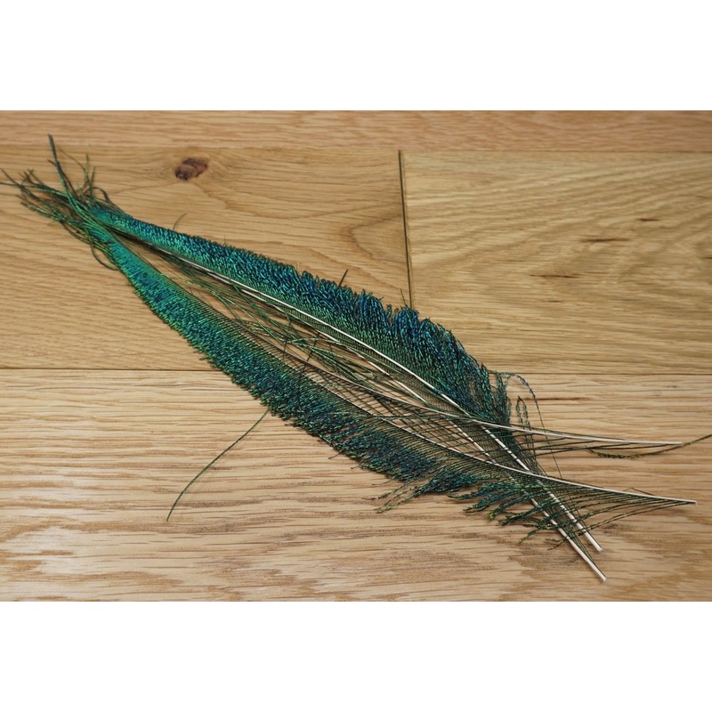 Nature’s Spirit Peacock Sword – 2 matched pair Natural