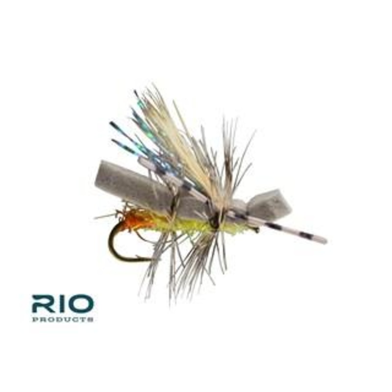 RIO Emma’s Stone|Sally|16|8