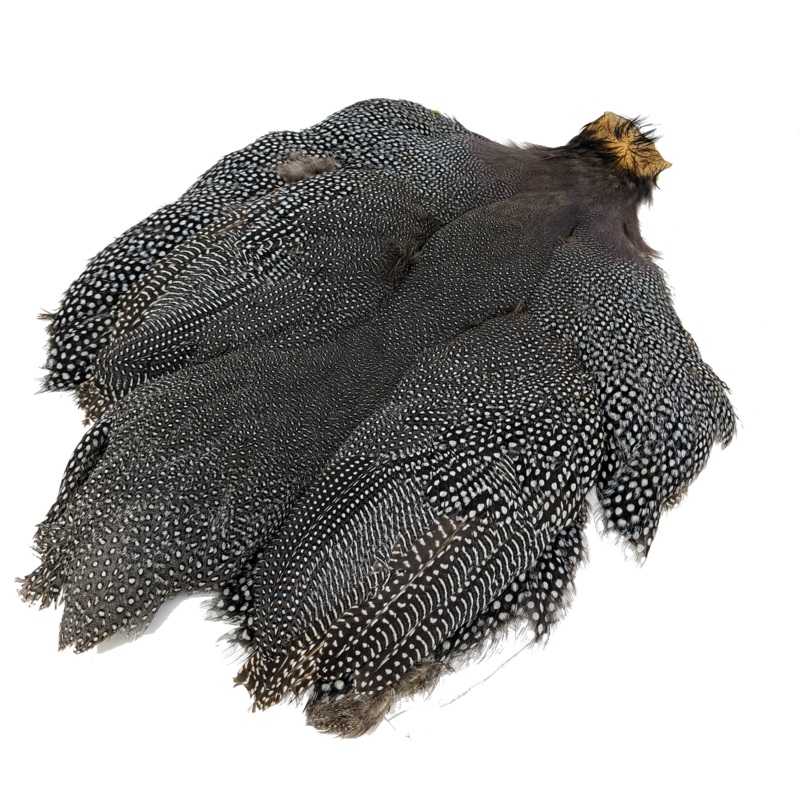 Whiting Guinea Fowl Medium Natural Gray Speckled