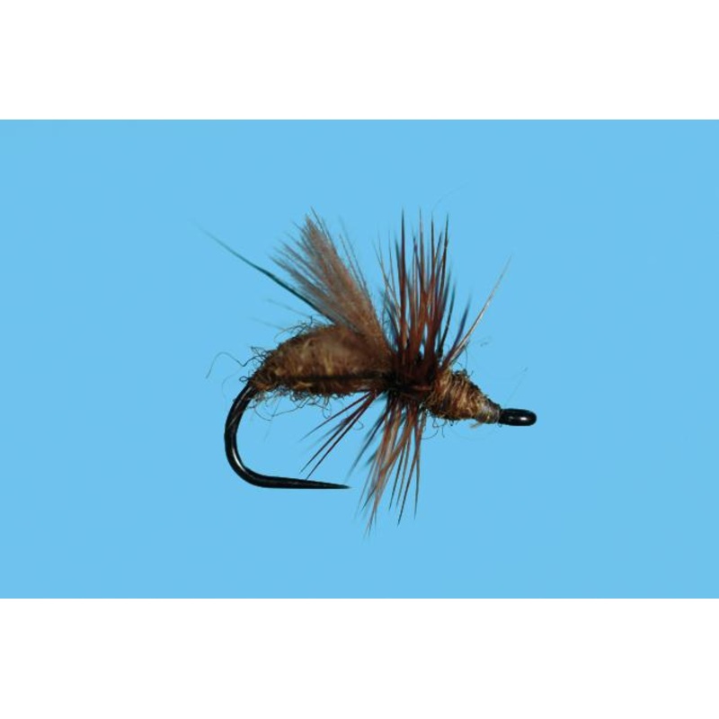 CDC Flying Ant Honey|14|16