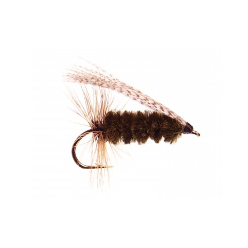 Sheep Creek Special  Size 8