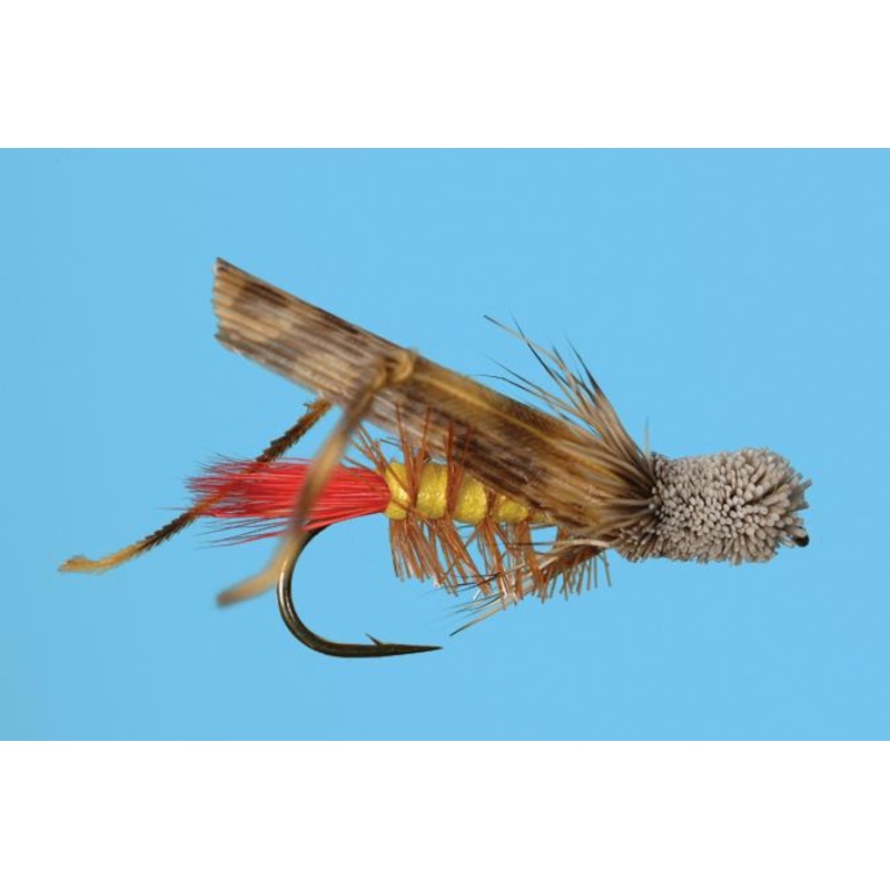 Solitude Hopper|10|12