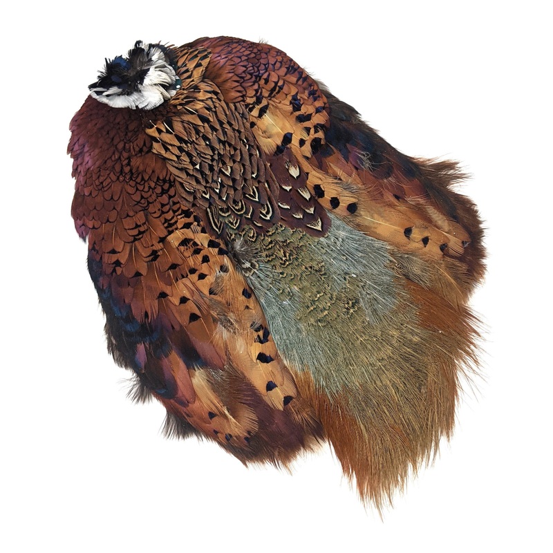 Wapsi Ringneck Pheasant Skin Natural