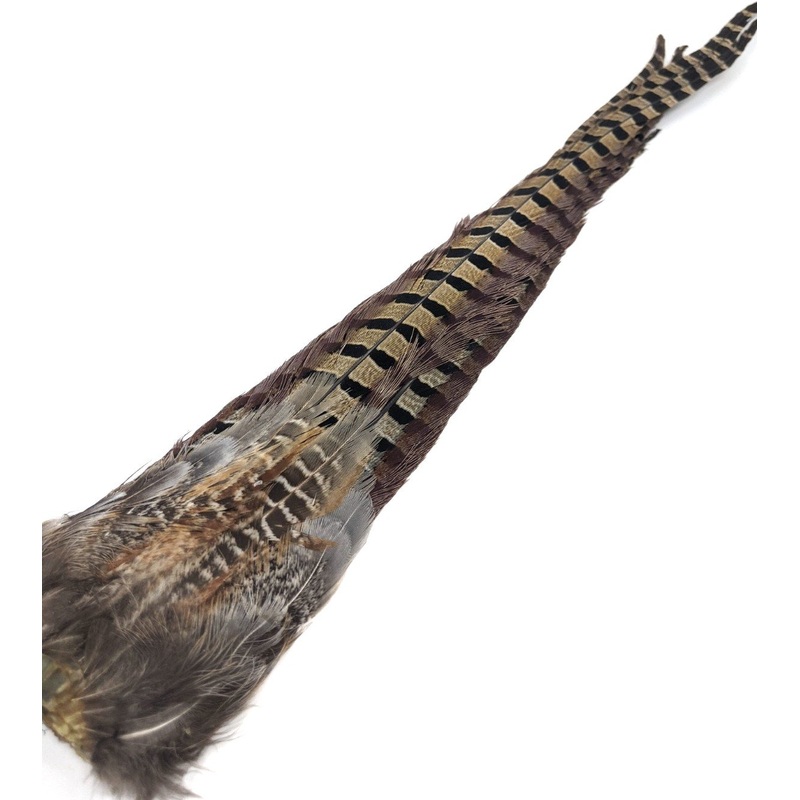 Wapsi Ringneck Pheasant Tail Clumps