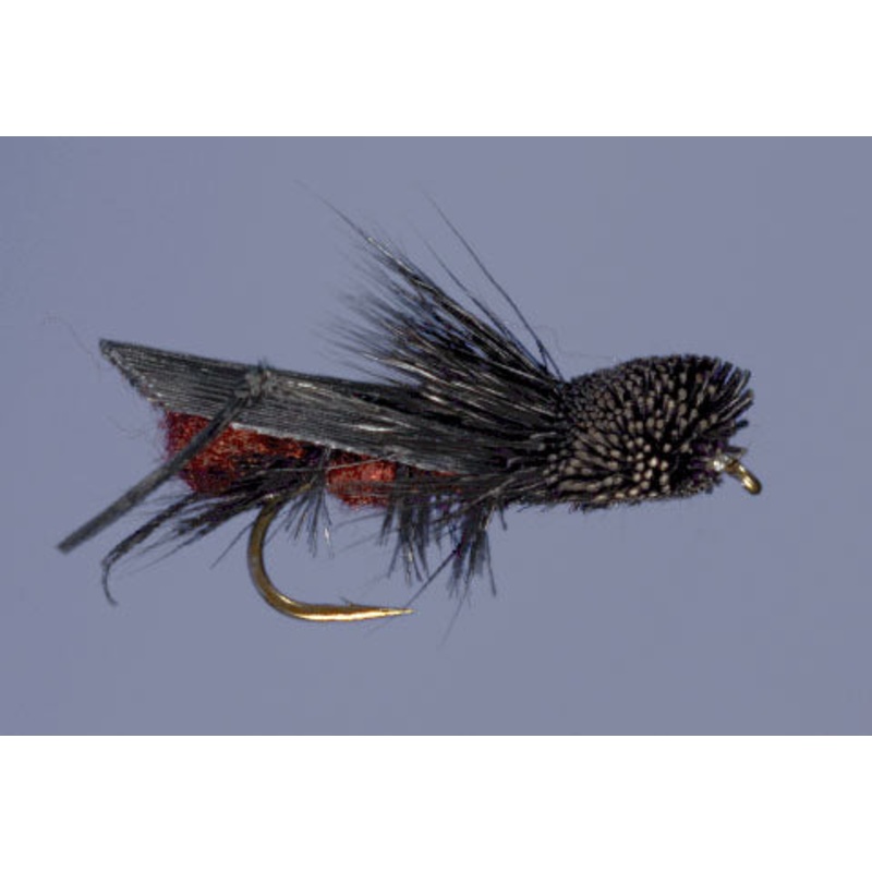 Dave’s Cricket – Black|8|10|12