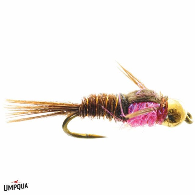 Hot Belly Pheasant Tail Nymph|Pink|16