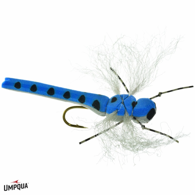Morrish Dragon Blue 6