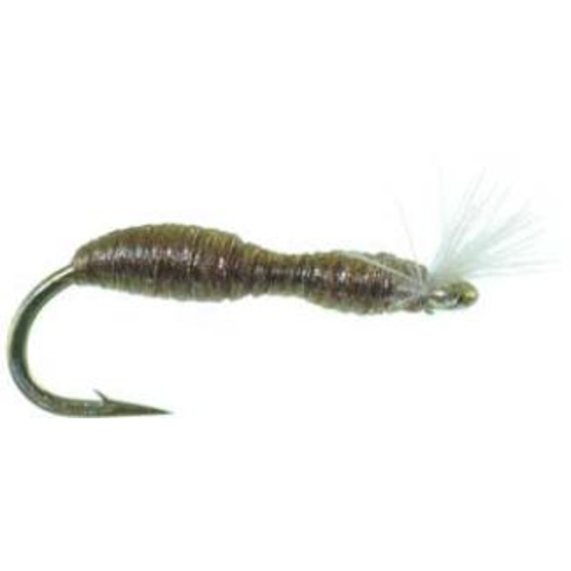 Blackfly Larva|18