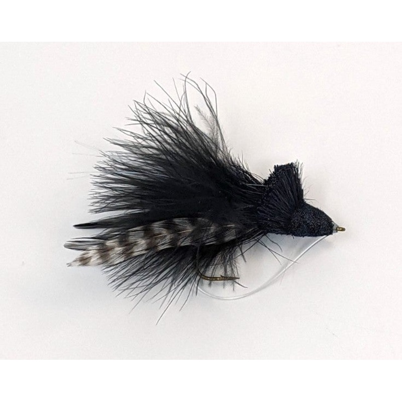 Dahlberg Diving Bug – Black 2