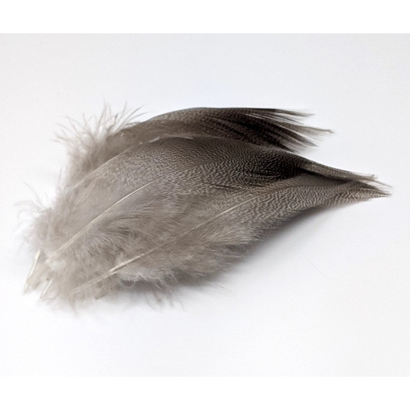 Nature’s Spirit Bronze Mallard 24 Select Feathers
