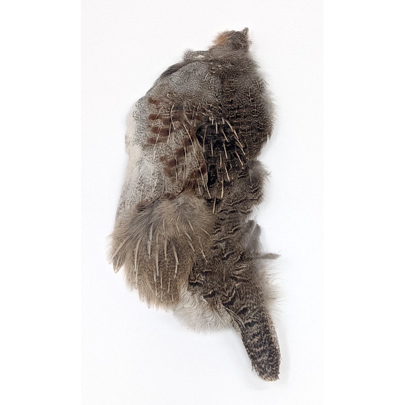 Wapsi Hungarian Partridge Half Skin Natural
