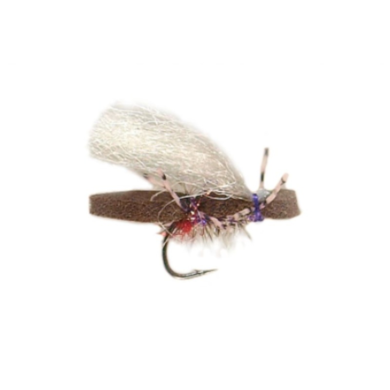 Micro Purple Bruce|14|16|18|12