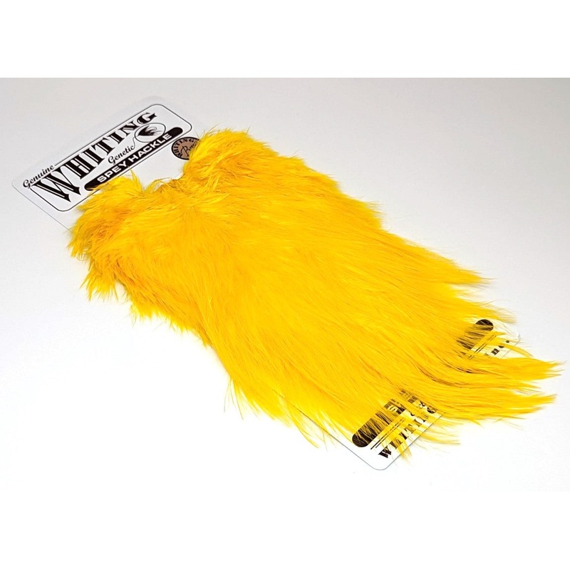 Whiting Bronze Spey Hackle Saddle White dyed Yellow