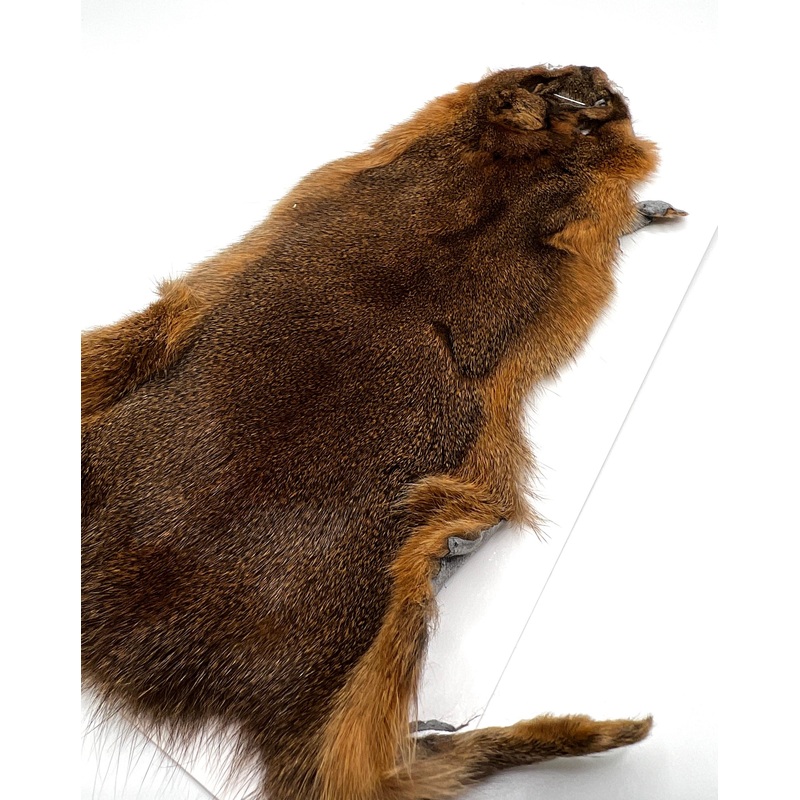 Wapsi Pine Squirrel Skin|Crawdad Orange|Tan|Brown|Leech Red|Claret|Lt.Olive|Olive|Purple|Black|Sculpin Olive|Rust|Natural|Fl. Chartreuse|Fl. Pink