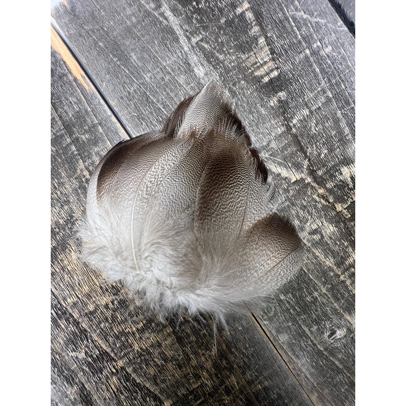 Bronze Mallard 24 Pack TG