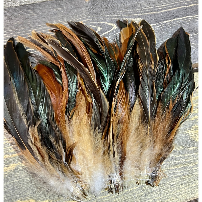 Half Bronze Rooster Coque Tail Strung 7-10-inch