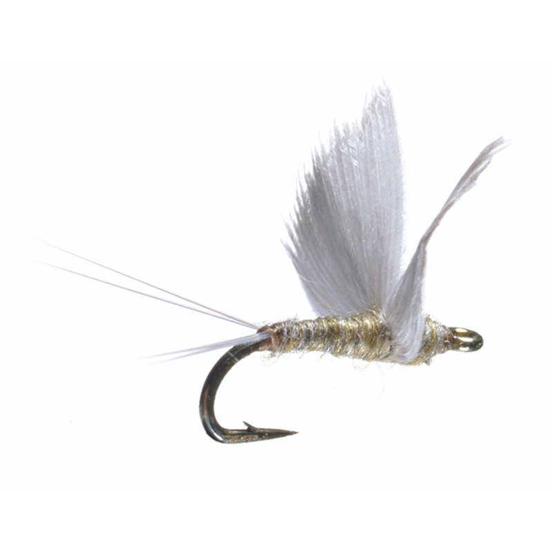 Lawson’s No-Hackle|16|18|Gray Yellow