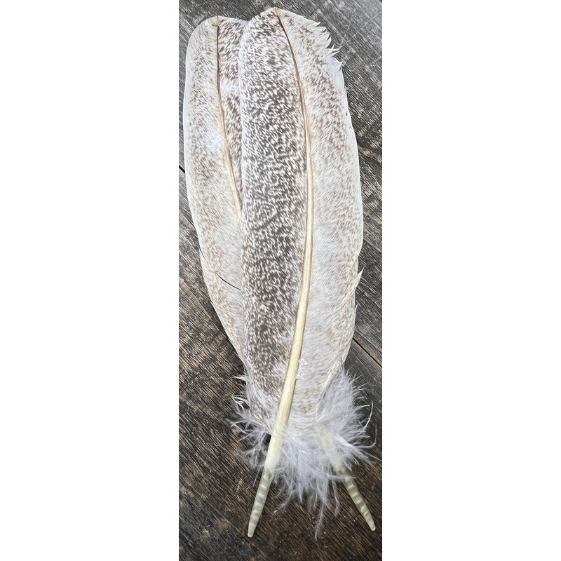 Light Mottled Oak Turkey Secondary Pair