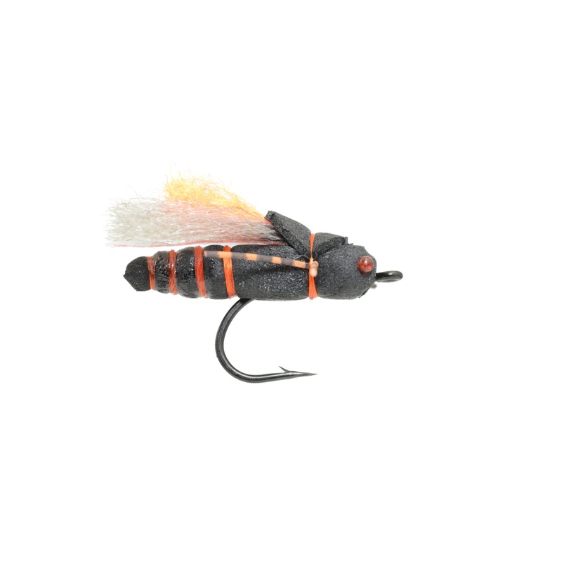 Project Cicada size 4