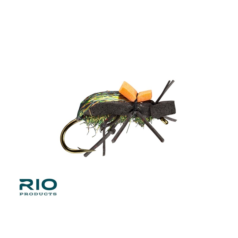 Rio Ground Beetle|Black|6|8|10