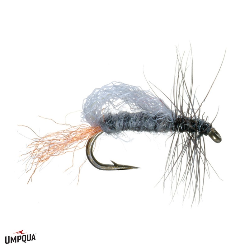 Roy’s Special Emerger|20|22