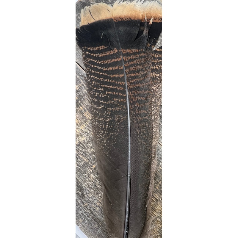 Turkey Tail Pair Natural