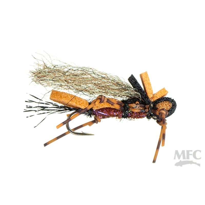 Fool’s Gold Cicada|06|08