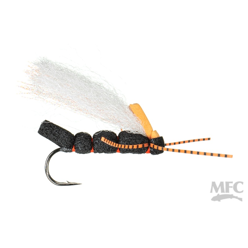 MFC Cook’s Cicada Periodic- 04