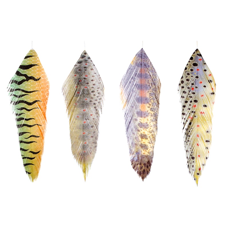 MFC Galloup’s Fish Feathers|Fire Tiger|Mossy Brown|Juvy Bow|Buttery Brown