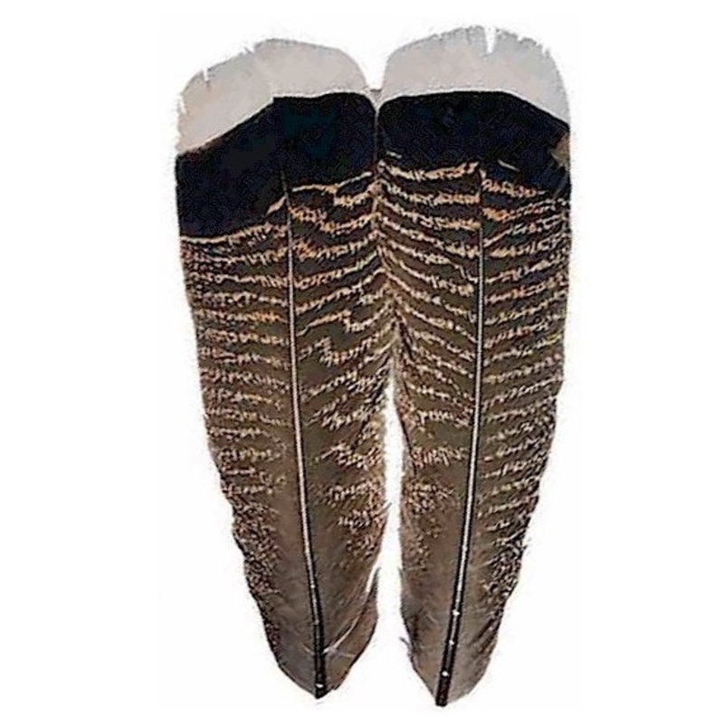 Wapsi Mottled White Tipped Turkey Tail Grade #1